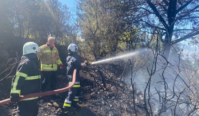 Hatay'da ormanlık alanda çıkan yangın söndürüldü