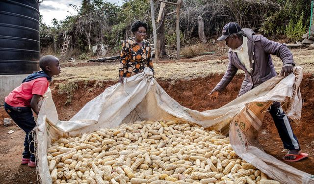 FAO Gıda Fiyat Endeksi Mayıs Ayında Düştü