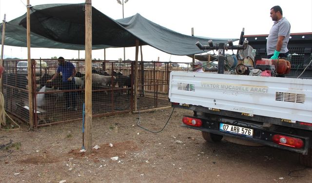 Kumluca'da kurbanlık satışı yapılan alanlar ilaçlandı