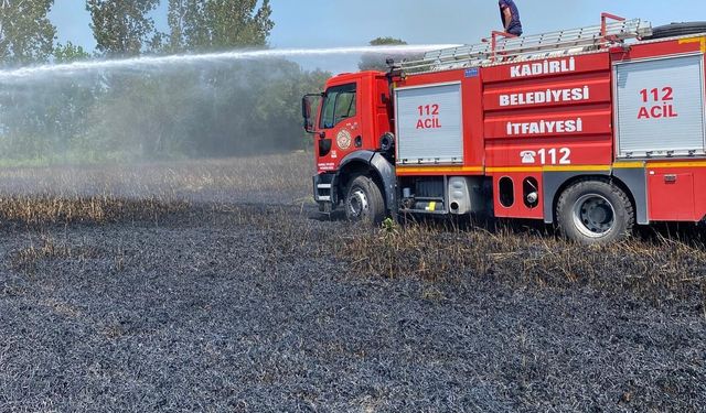 Osmaniye'de çıkan yangında 20 dönümlük buğday tarlası zarar gördü