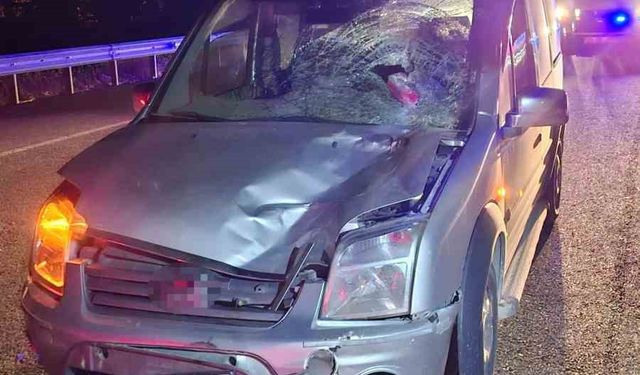 Elazığ’da Trafik Kazası Can Aldı Yolun Karşısına Geçerken Hayatını Kaybetti