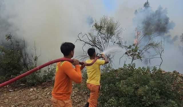 Arsuz'da ormanlık alanda çıkan yangın kontrol altına alındı