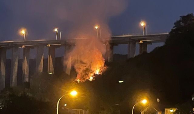 Beykoz’da Alevler Geceyi Sardı
