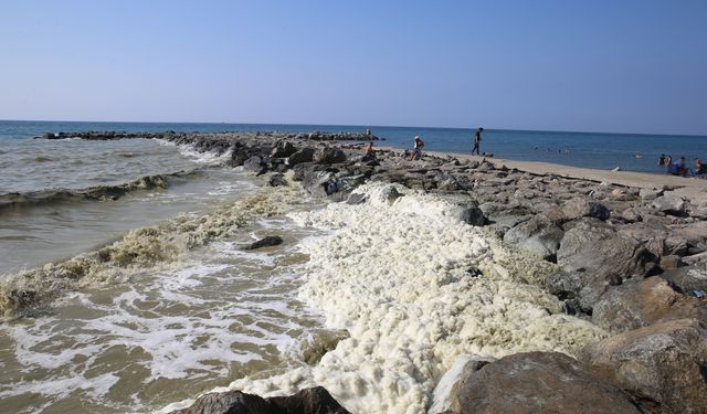 Hatay'da deniz kıyısında köpük benzeri tabakaya ilişkin inceleme tamamlandı