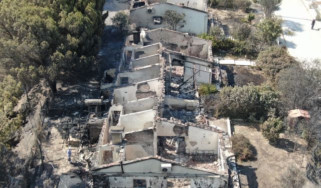 Hatay Orman Yangını: 700 Saha Kül