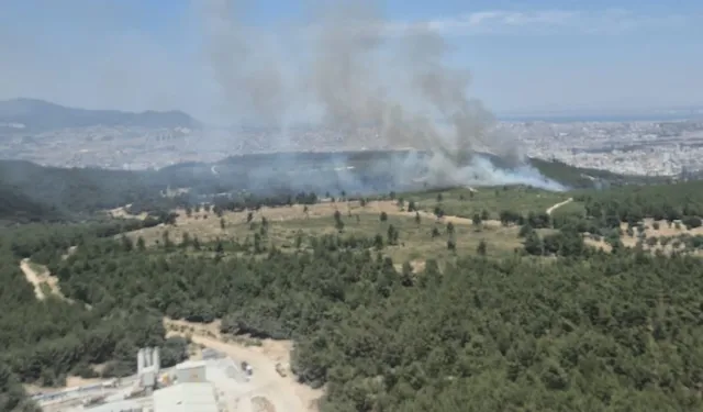İzmir'in Buca ilçesinde çıkan orman yangınına müdahale ediliyor