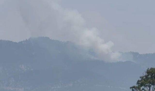 Osmaniye Düziçi’nde Orman Yangınına Müdahale Sürüyor