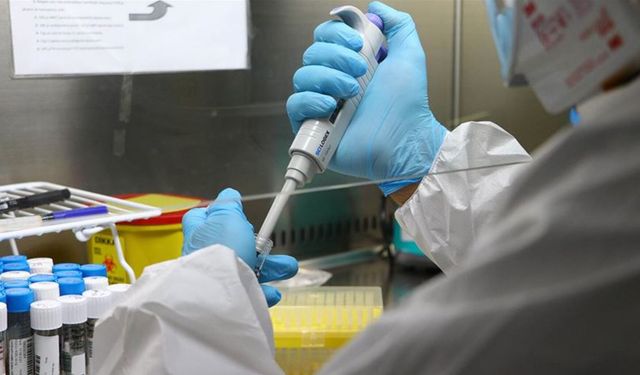 Patoloji Laboratuvar Teknikleri 2025 Taban Puanları Açıklandı  Sağlıkta Kariyer Hedefleyenler İçin Güncel Veriler