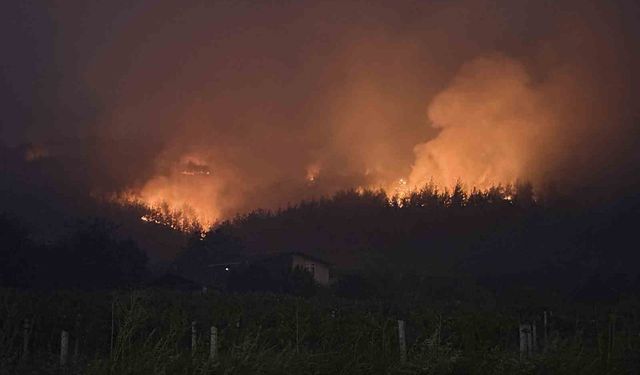 Sakarya’da Orman Yangını Büyüyor Tarım Arazilerine Sıçradı, Mahalle Tahliye Edildi