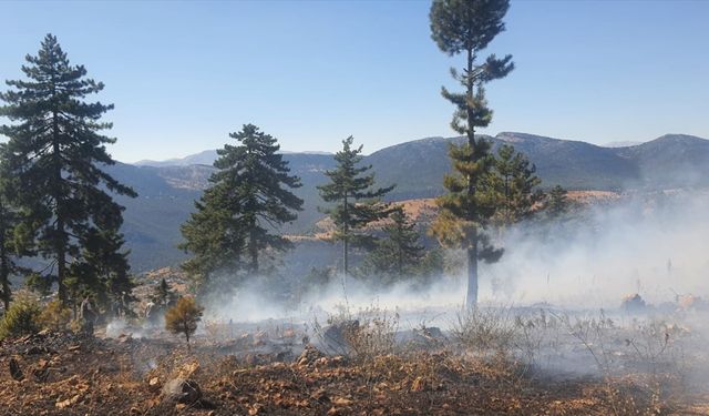 Adana Saimbeyli'de çıkan orman yangını kontrol altına alındı