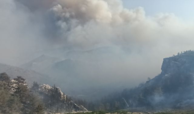 GÜNCELLEME 3 - Mersin'de ormanlık alanda yangın çıktı