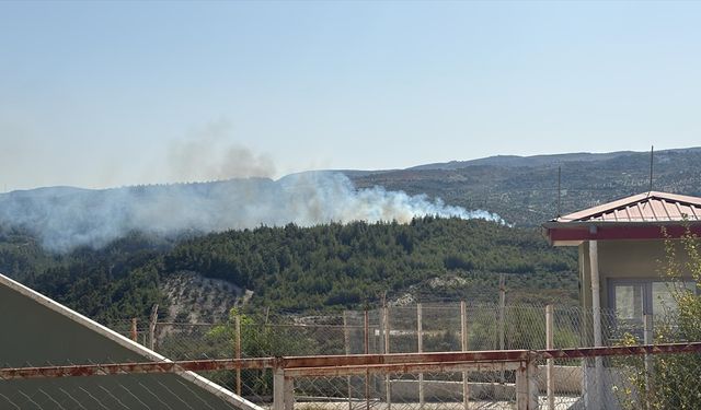 Hatay'da ormanlık alanda yangın çıktı