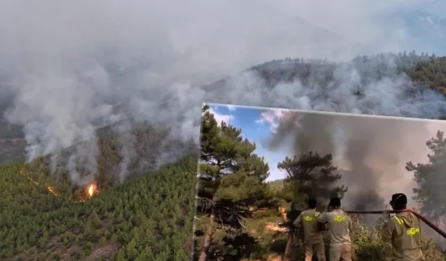 Mersin ve Hatay’da Orman Yangınları Sürüyor