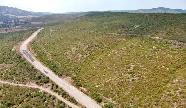 Osmaniye'de 4 yıl önce yanan alanlar, dikilen fidanlarla yeniden yeşerdi
