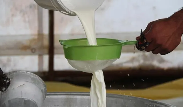 Osmaniyeliler Dikkat En Sağlıklı Süt Keçi Sütü