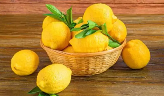Osmaniyeliler İçin Limonu Aylarca Taze Tutma Yöntemi