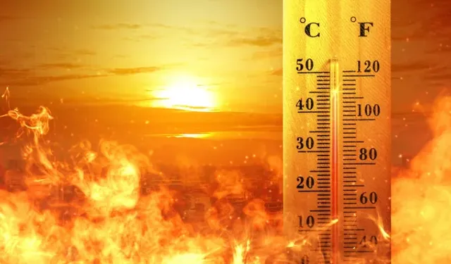 Sıcaklık Felaketi Narenciyede Güneş Yanığı Alarmı!