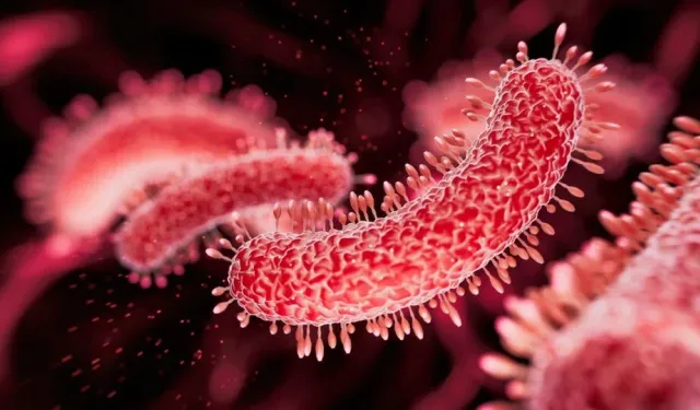 Influenza Vakalarındaki Artış Devam Ediyor!