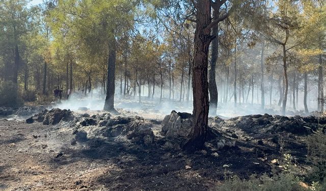 Antalya'da ormanlık alanda çıkan yangın söndürüldü