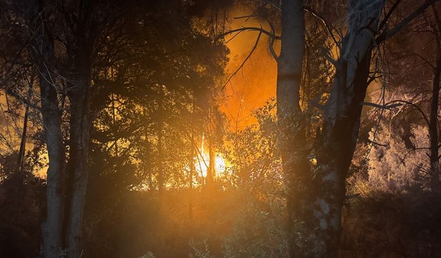 Antalya'nın Aksu ilçesinde orman yangını çıktı