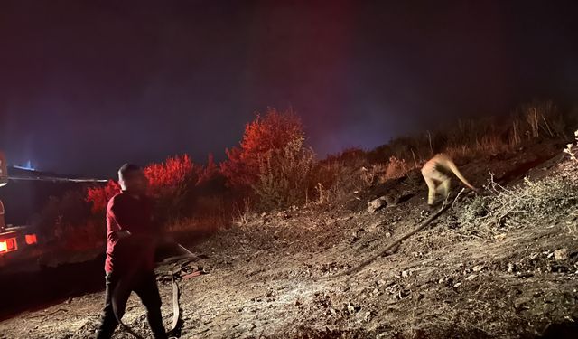 Isparta'da çıkan orman yangını söndürüldü