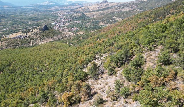 Isparta'da ormanlar sonbahar renklerine büründü
