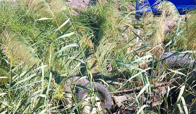 Kadirli'de Tarlada Traktör Kazası: 22 Yaşındaki Genç Ağır Yaralandı