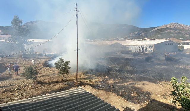Mersin'de serada çıkan yangın söndürüldü