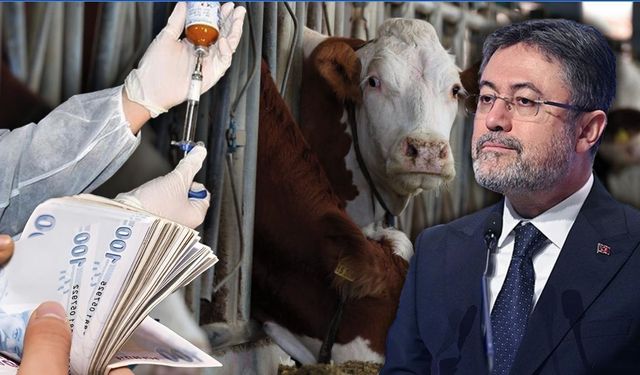 Şap Hastalığında Umut Veren Haber