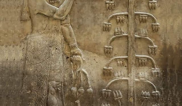 Asur Paneli Paris’te II. Sargon Sarayı’ndan Eşsiz Kabartma