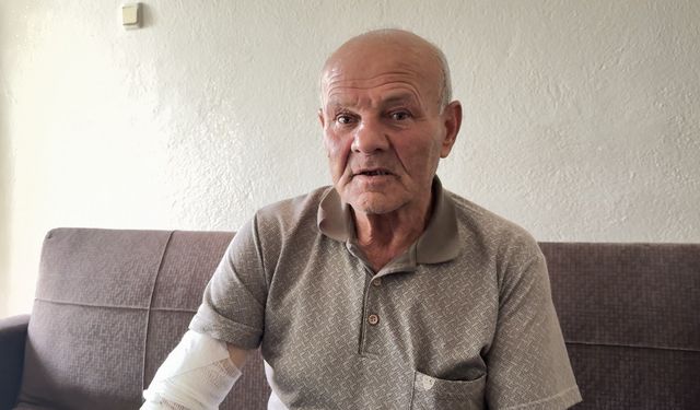 Burdur'da sahipsiz köpeğin saldırdığı kişi yaralandı