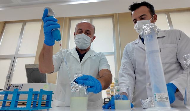 Burdur'da süt ineklerindeki meme ödemine doğal çözüm geliştirildi