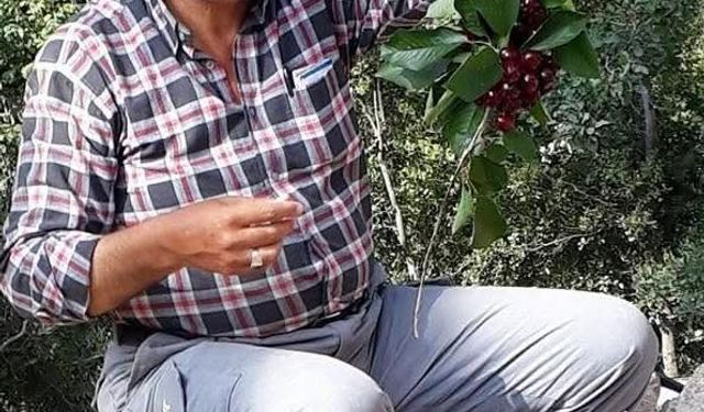 Ceyhan’da Anne Oğul Tartışması Trajik Sonla Bitti