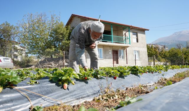 Ispartalı İbrahim dede 'Hayır Bahçesi'ndeki ürünleri ziyaretçilere ücretsiz ikram ediyor