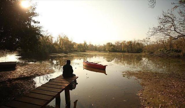 Karacabey Longozu Kurudu Türkiye’nin 3. Büyük Longozu