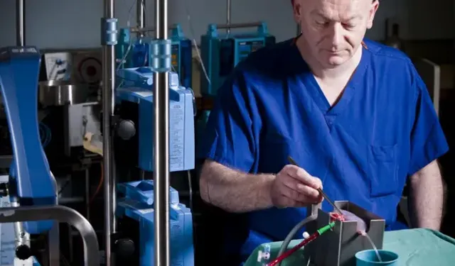 Bilim İnsanları Böbreğin Kan Grubunu Değiştirerek Evrensel Nakil Organı Yaptı