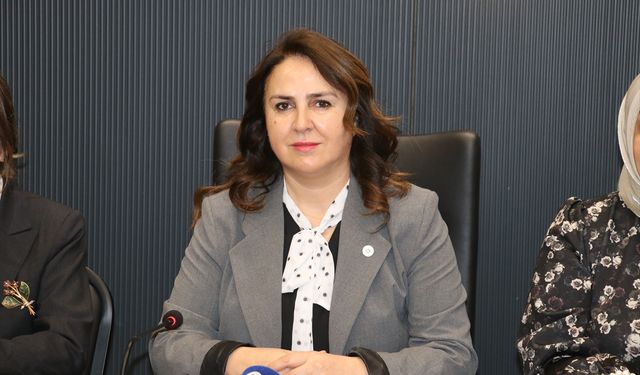 Adana ve Hatay'da AK Parti'den kadına yönelik şiddetle mücadele günü açıklaması