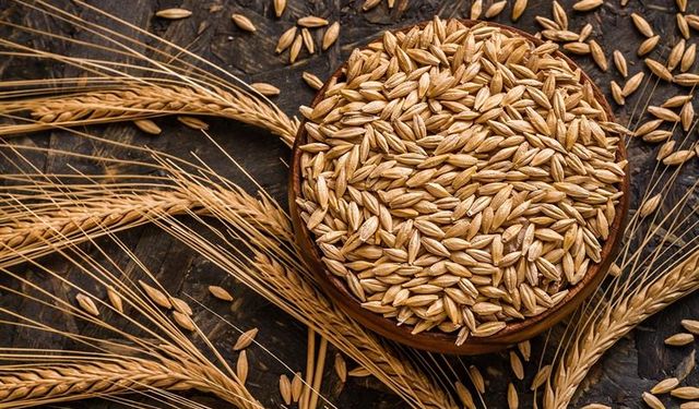 Arpa Nedir, Ne İşe Yarar? Sağlığa Faydaları Tek Tek Açıklandı