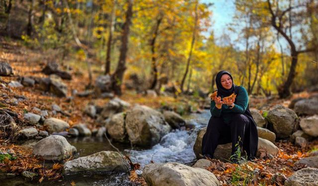 Belemedik’te Sonbahar Renkleri Ziyaretçileri Büyülüyor