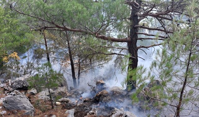 Bozyazı ilçesinde iki ayrı noktada çıkan orman yangını söndürüldü