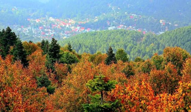 DAZ’da Sonbahar Renkleri Doğaseverleri Büyülüyor