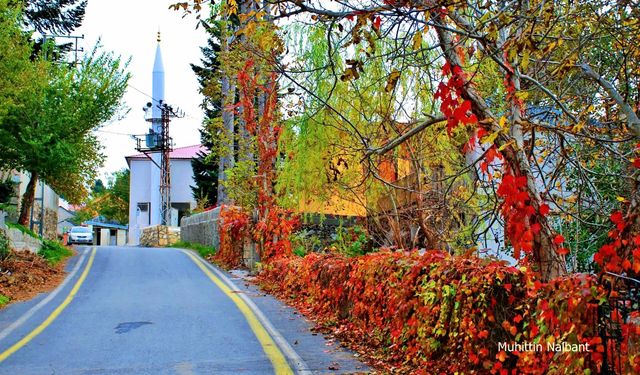 Dörtyol Bağrıaçık Yaylası Sonbaharda Renk Cümbüşü Sunuyor