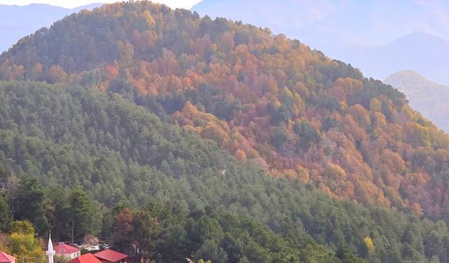 Dörtyol Üçkoz Yaylası’nda Sonbaharın Büyüleyici Renkleri