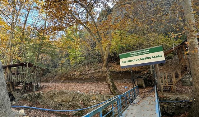 Feke Geçirimoluk Mevkisinde Sonbahar Şöleni Başladı
