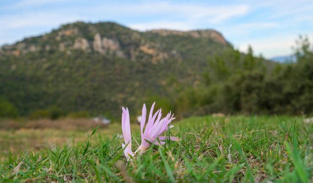 Ferhatlı Kozan’da Altyapı ve Yatırımlarla Gelişiyor