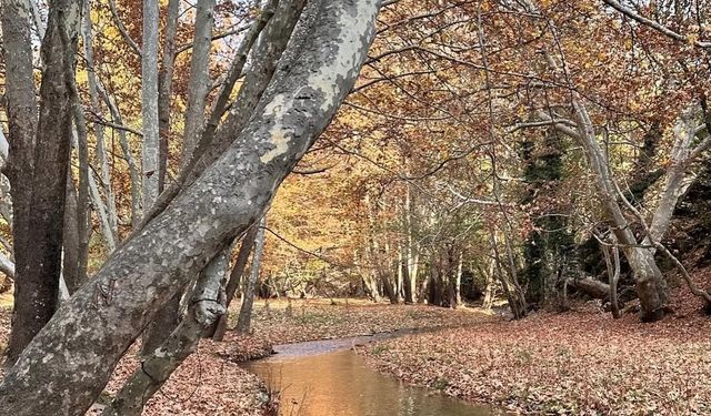 Hıdıruşağı Bahçecik Arası Sonbaharda Renk Cümbüşü
