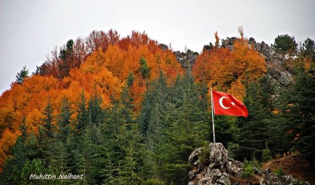 Hınzırlı Yaylası’nda Huzur ve Vatan Sevgisi Buluştu