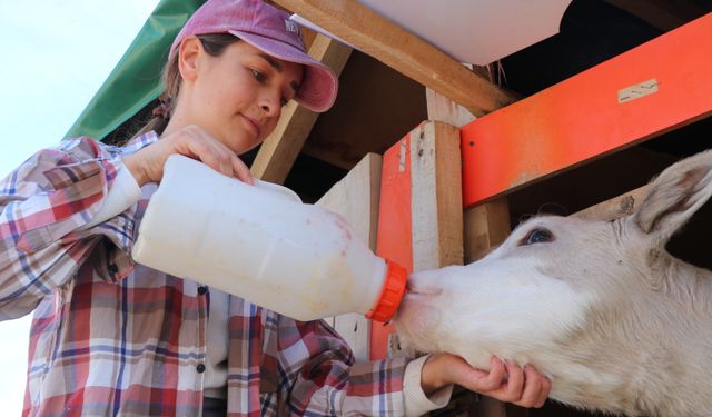 İş kazası geçiren çiftçi babanın en büyük destekçisi kızı oldu