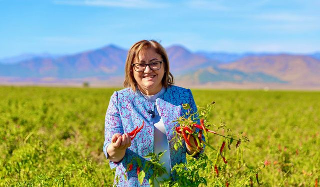 İslahiye Biberi Güneşin ve Toprağın Bereketi