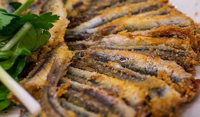 İstanbul’da Hamsi Kokusu Nasıl Giderilir 10 Pratik Yöntem